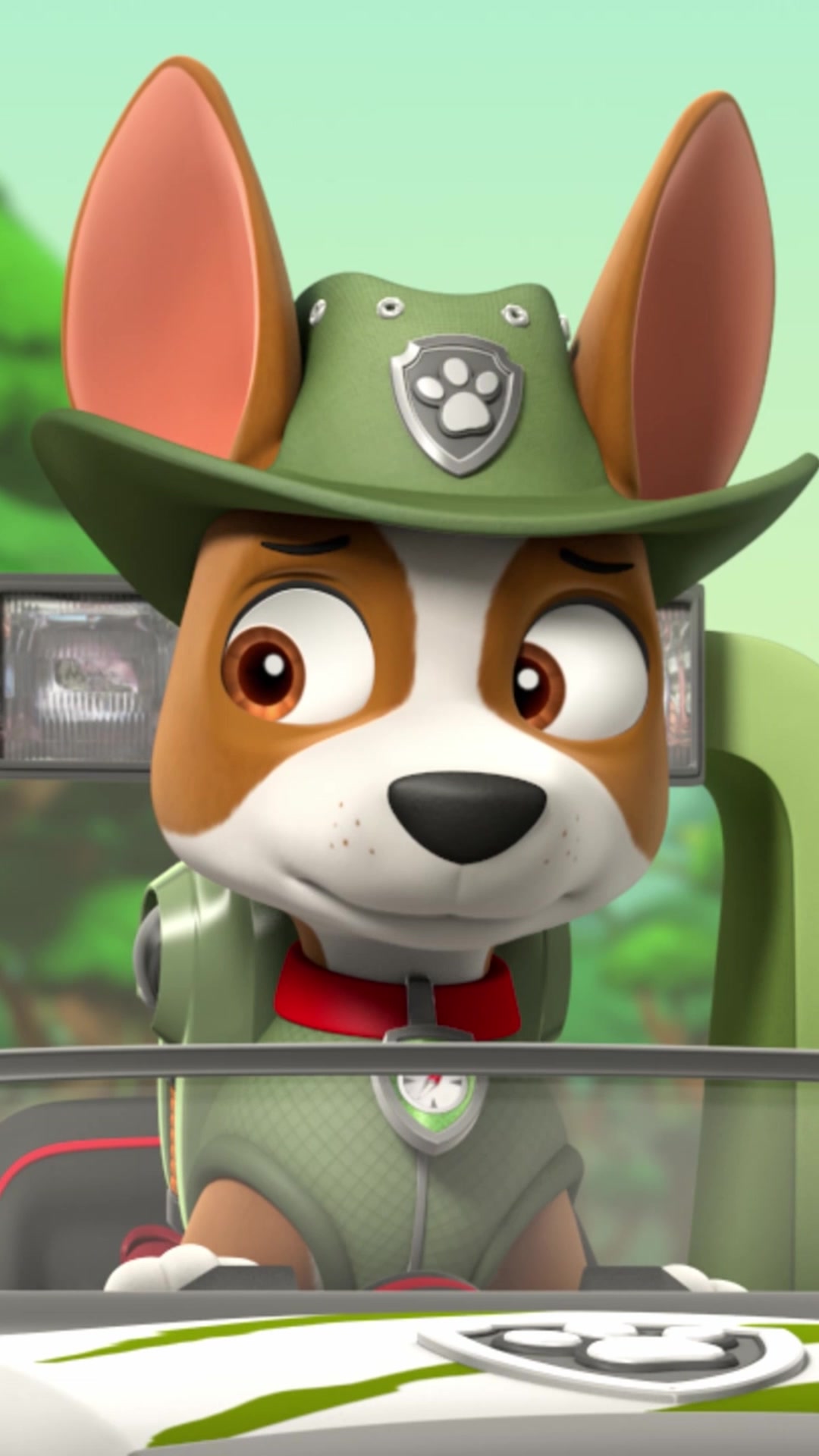 @pawpatrol