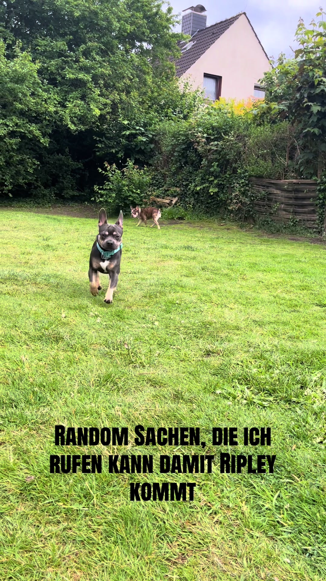 @Hicks und Ripley