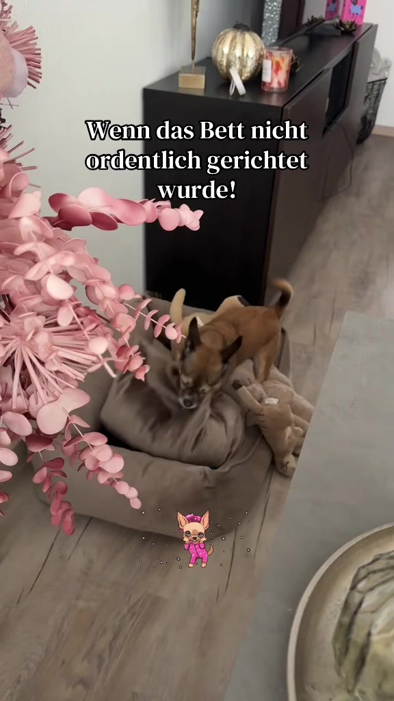 @Ichsch&uuml;tzekinderundtiere