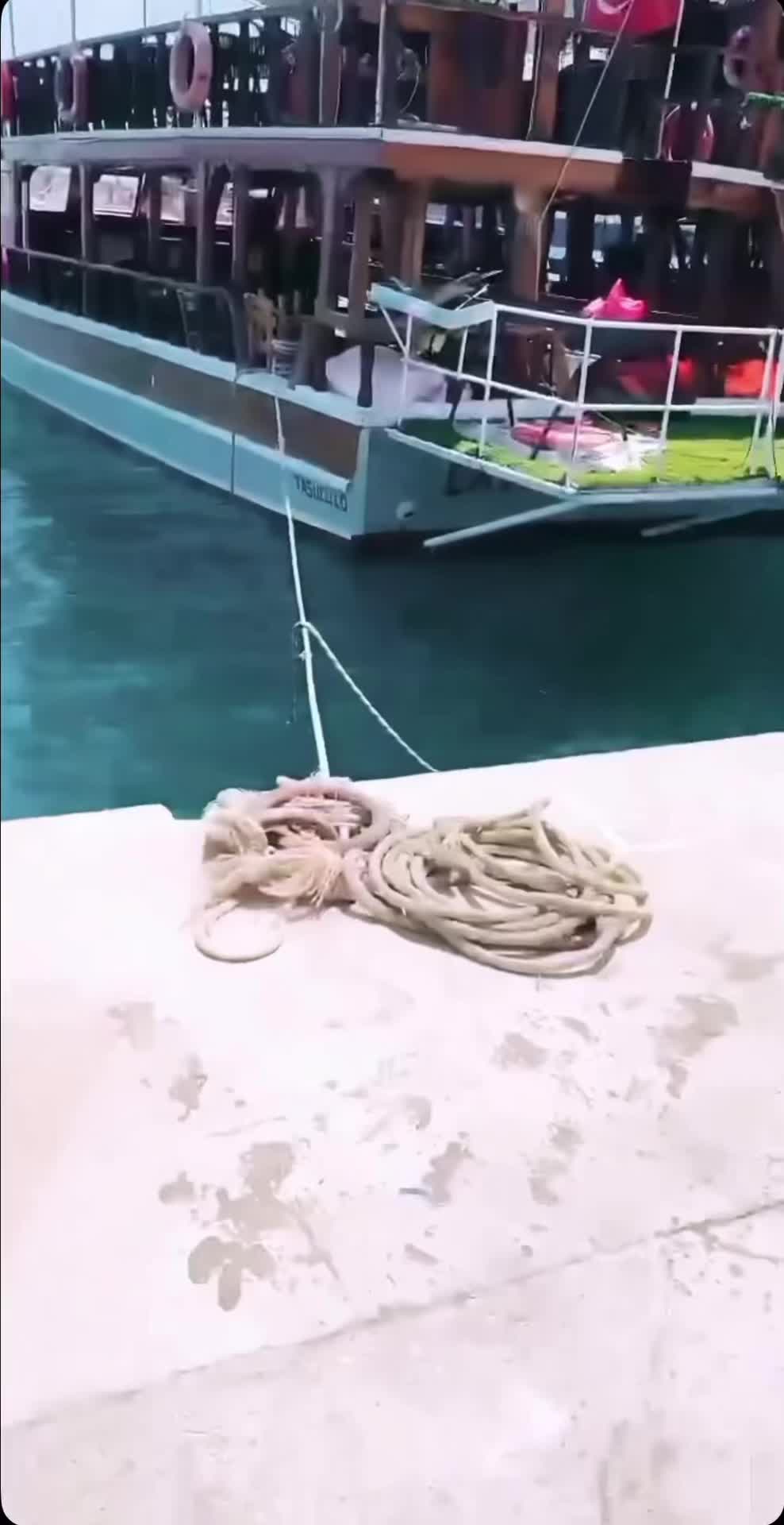 @tajikdzhamaldiinov