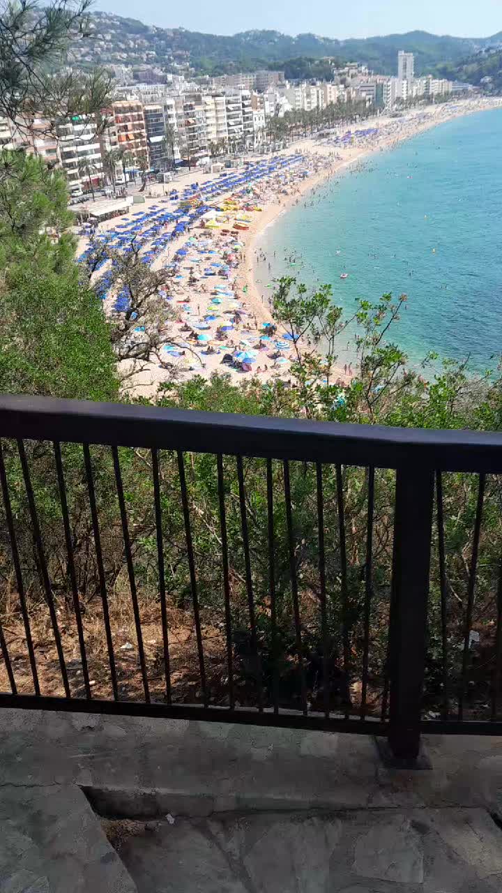 @dzenaro savastano