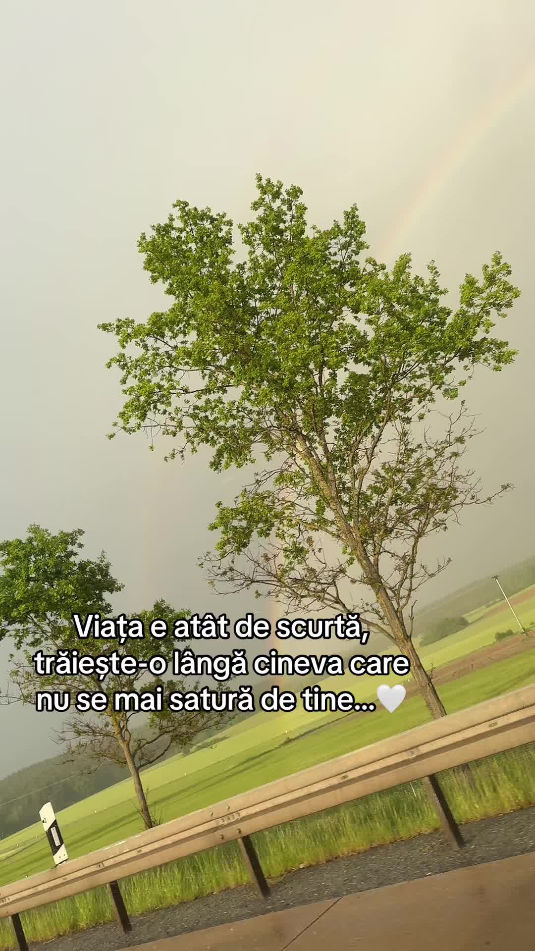 @+40🇹🇩