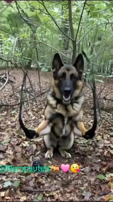 @Kirsten T.Nero🐕Lost4Fun🩷LU👻