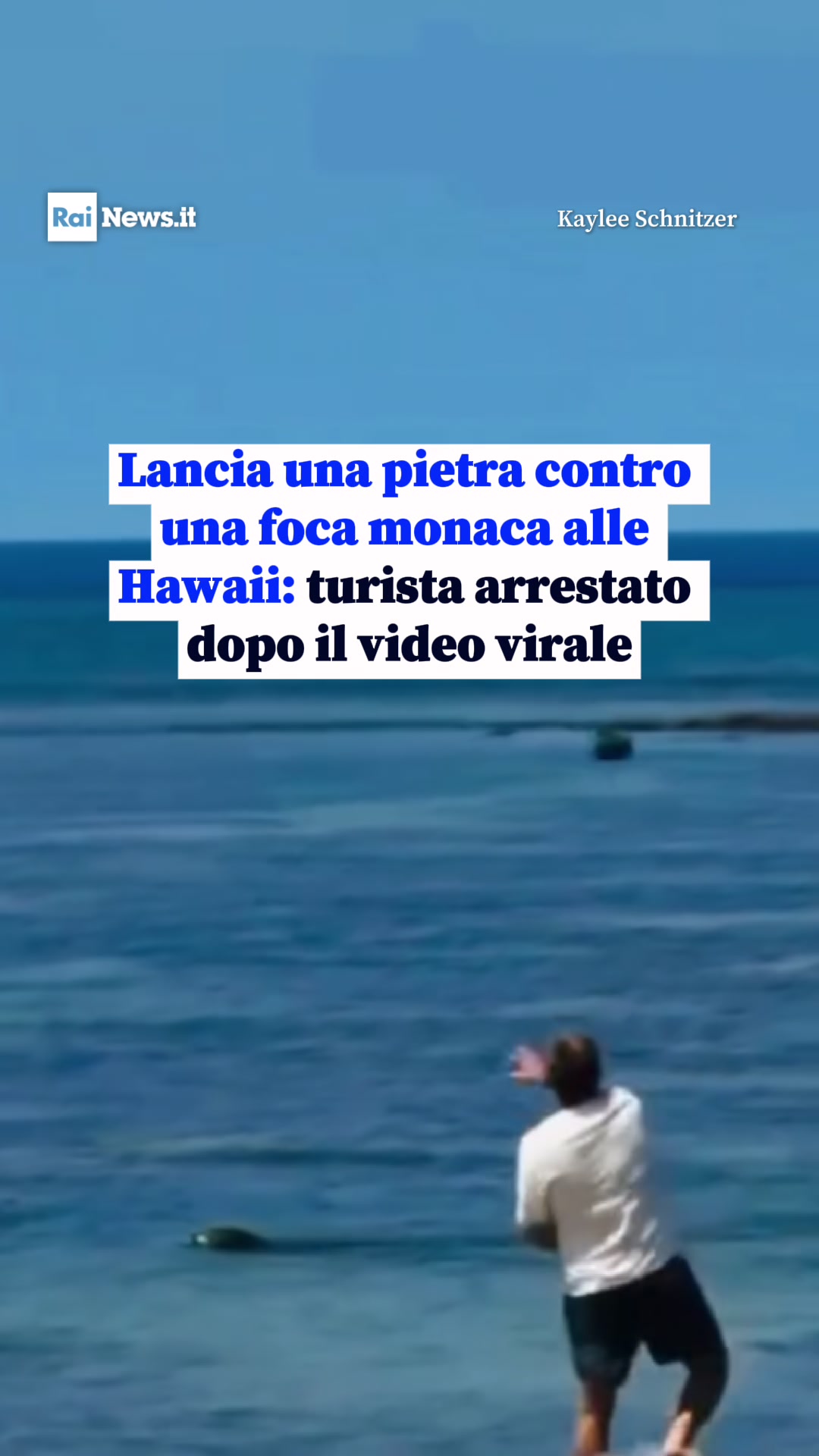 @RaiNews