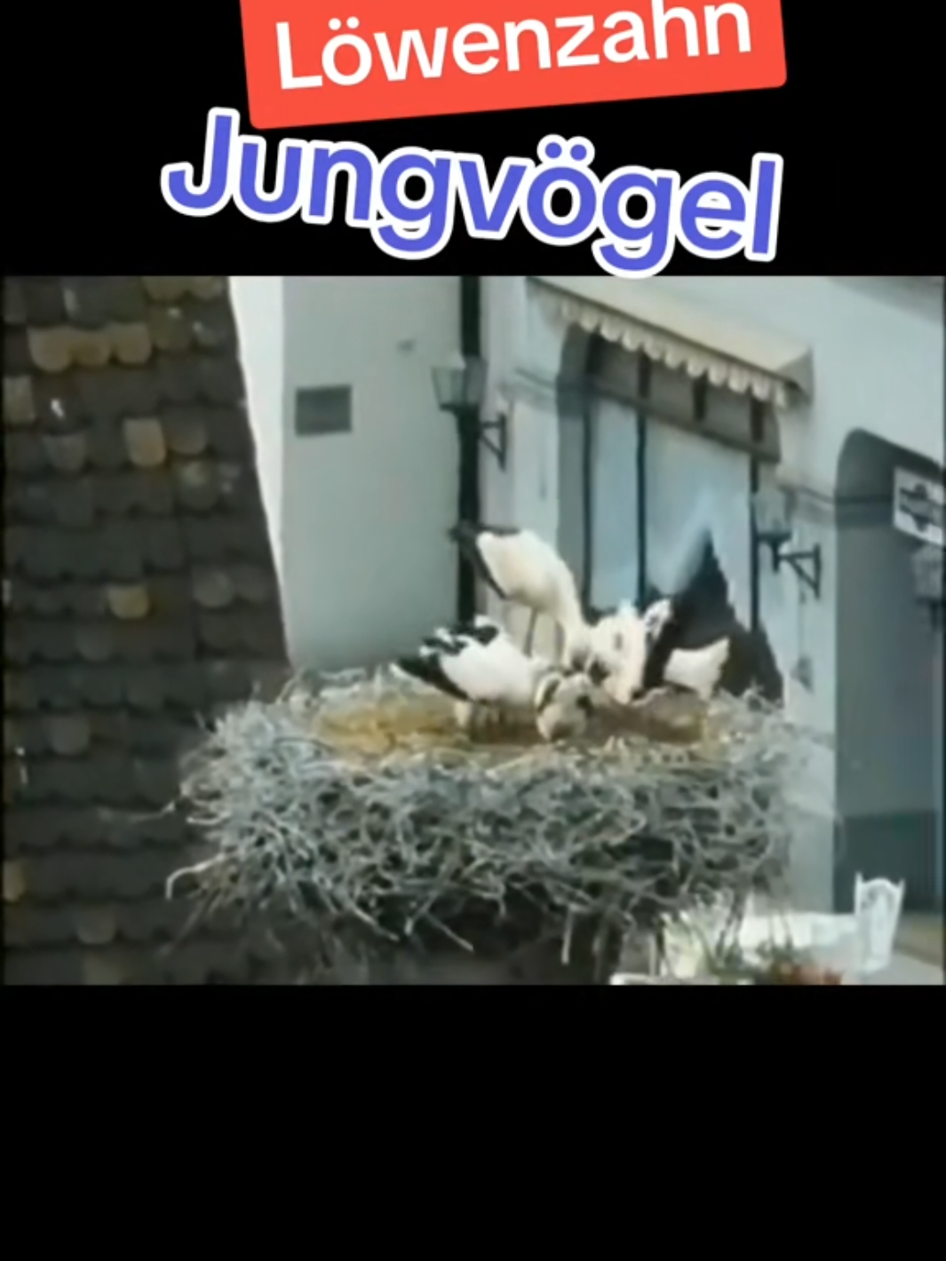 @亗 Aԍᴇɴт Dⱼₐy