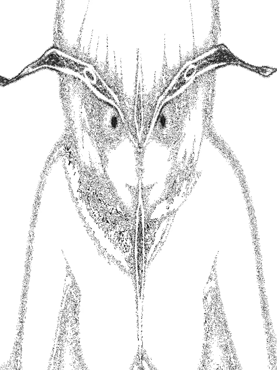 @𝐍𝐄𝐑𝐕