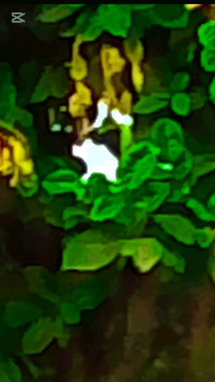 @জিসান