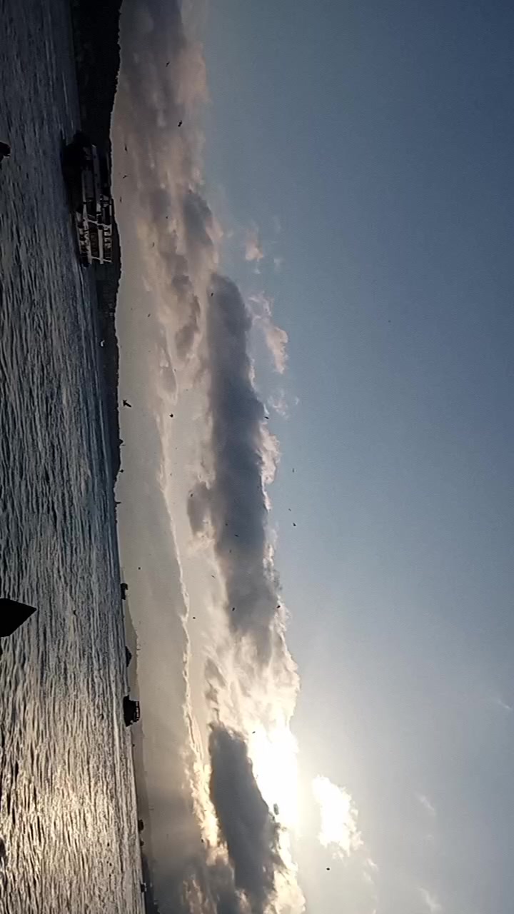 @Alican Dalgıç