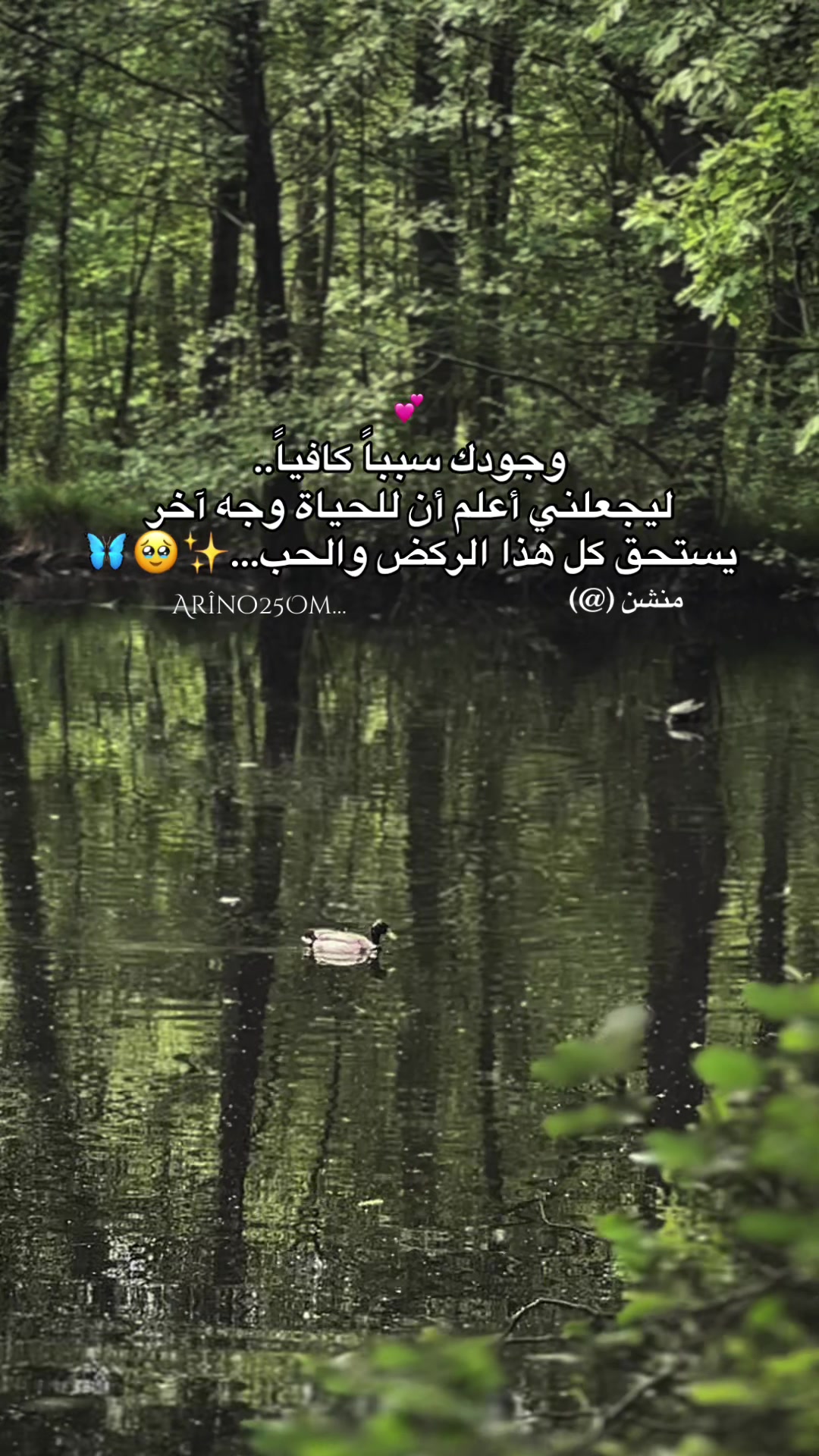 @Arîno25Om