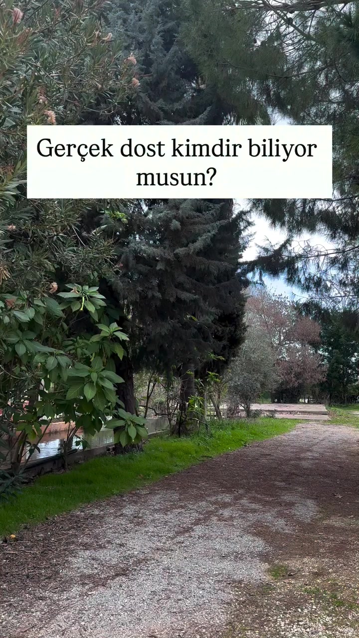 @Erdem61⚜⚜53
