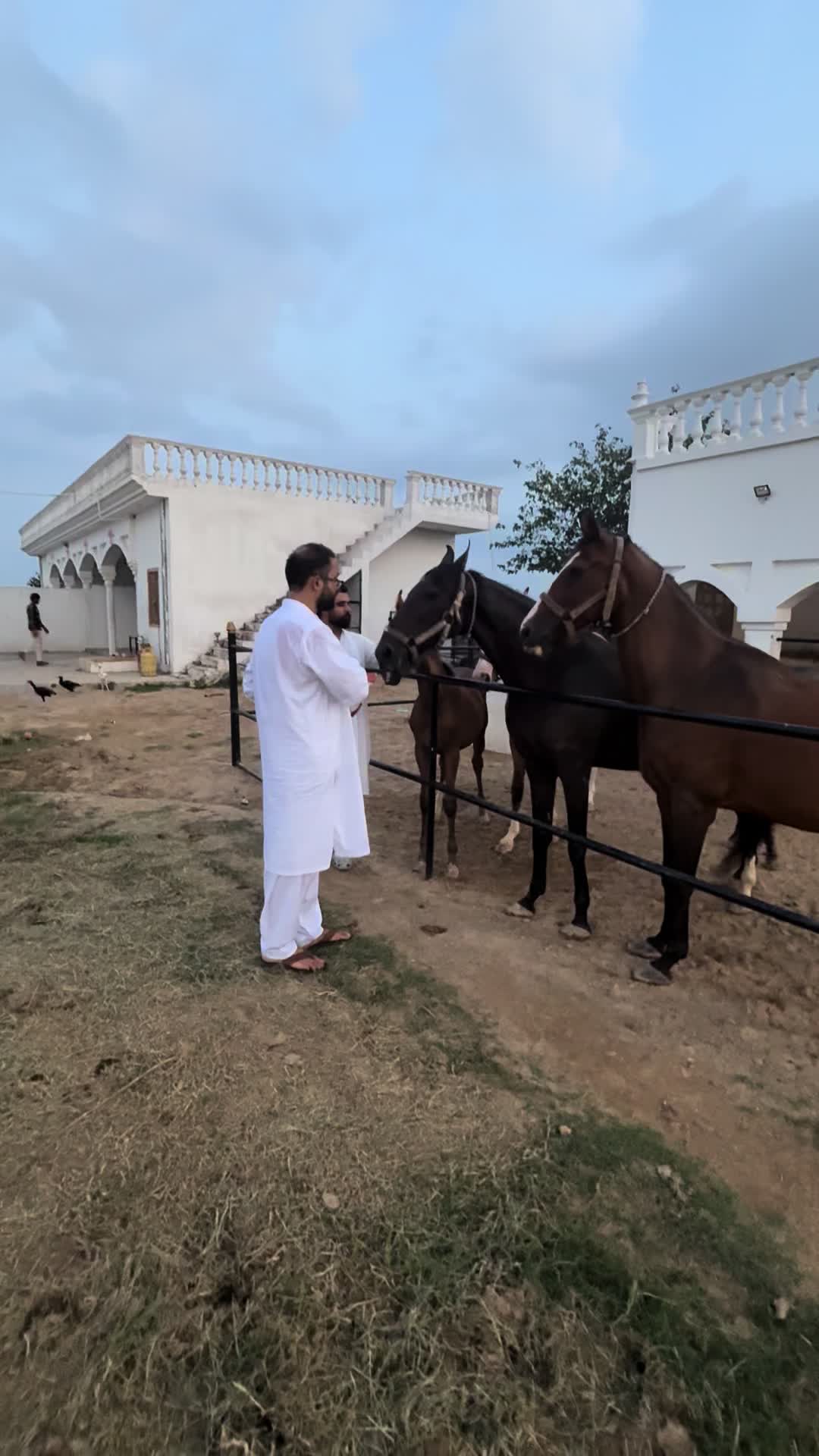 @Raja Farm House and stable