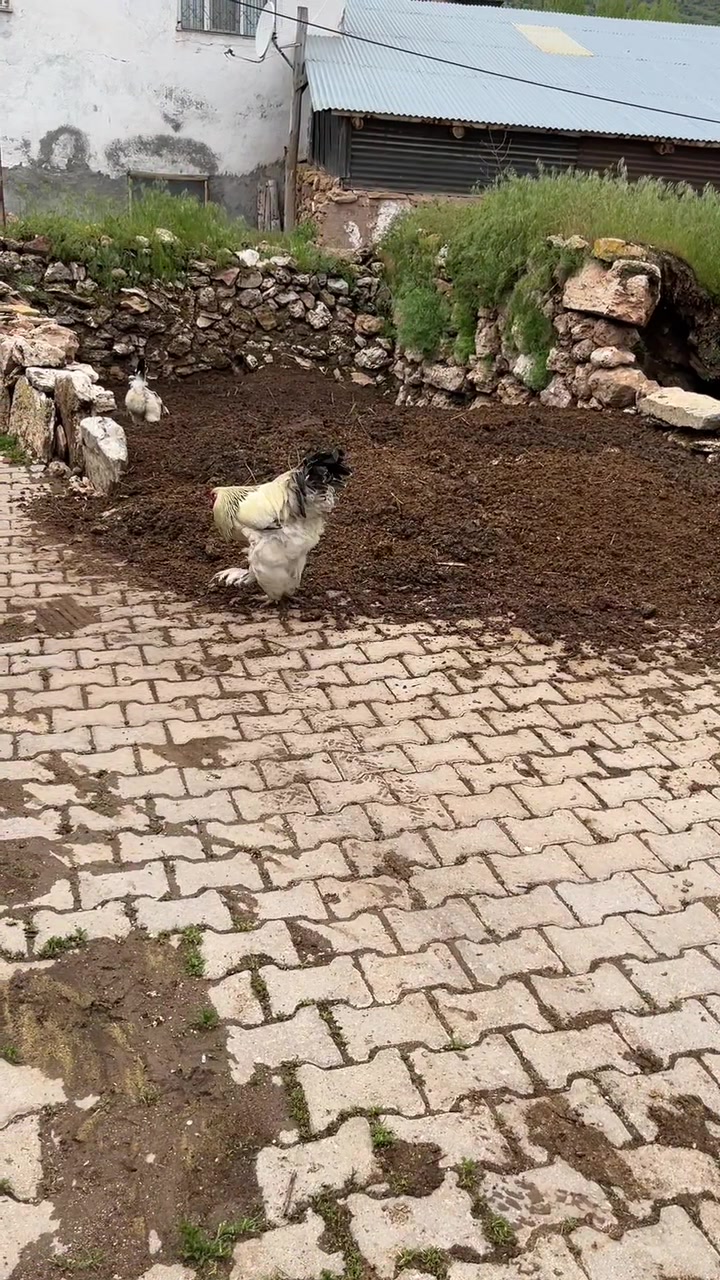 @İlknurca