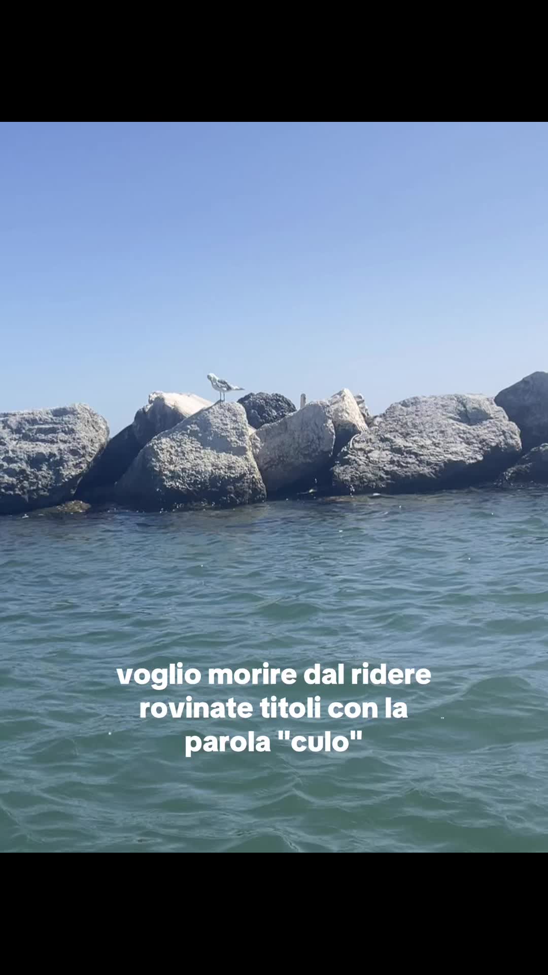 @sofii