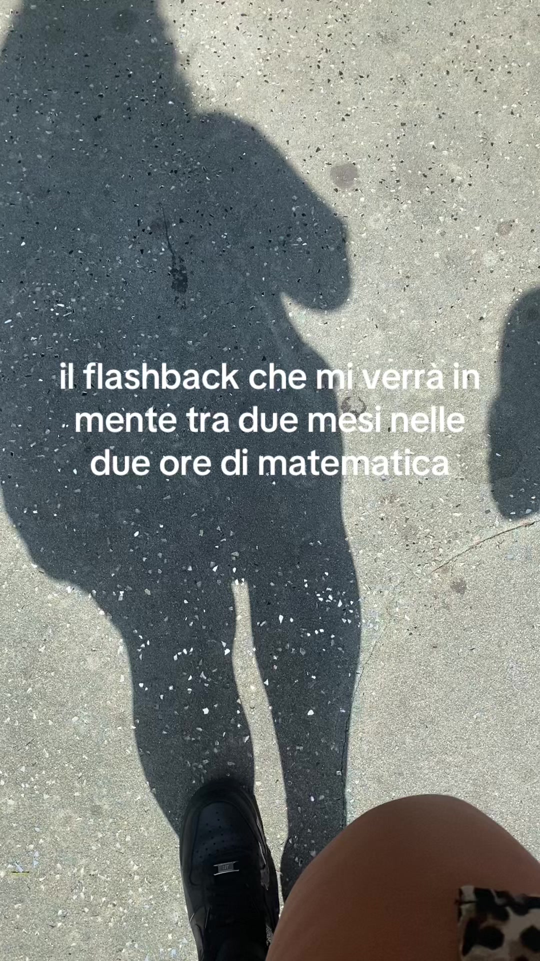 @Stella👑🩰📚