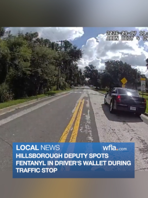 @WFLA News Channel 8