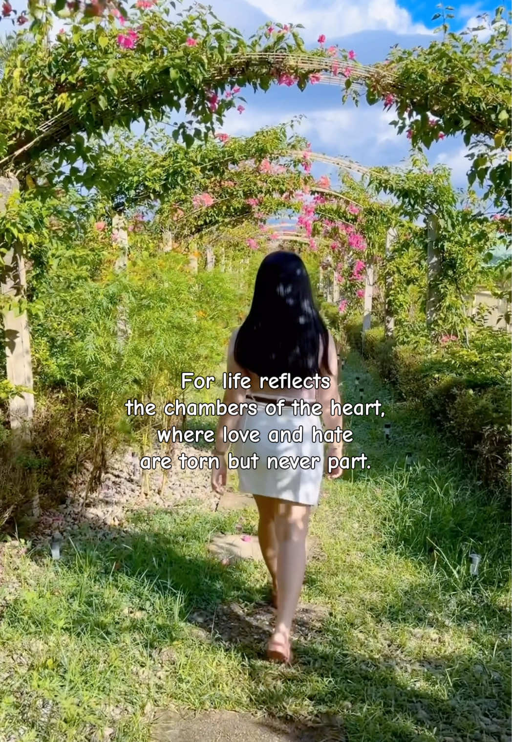@AmoreHearts