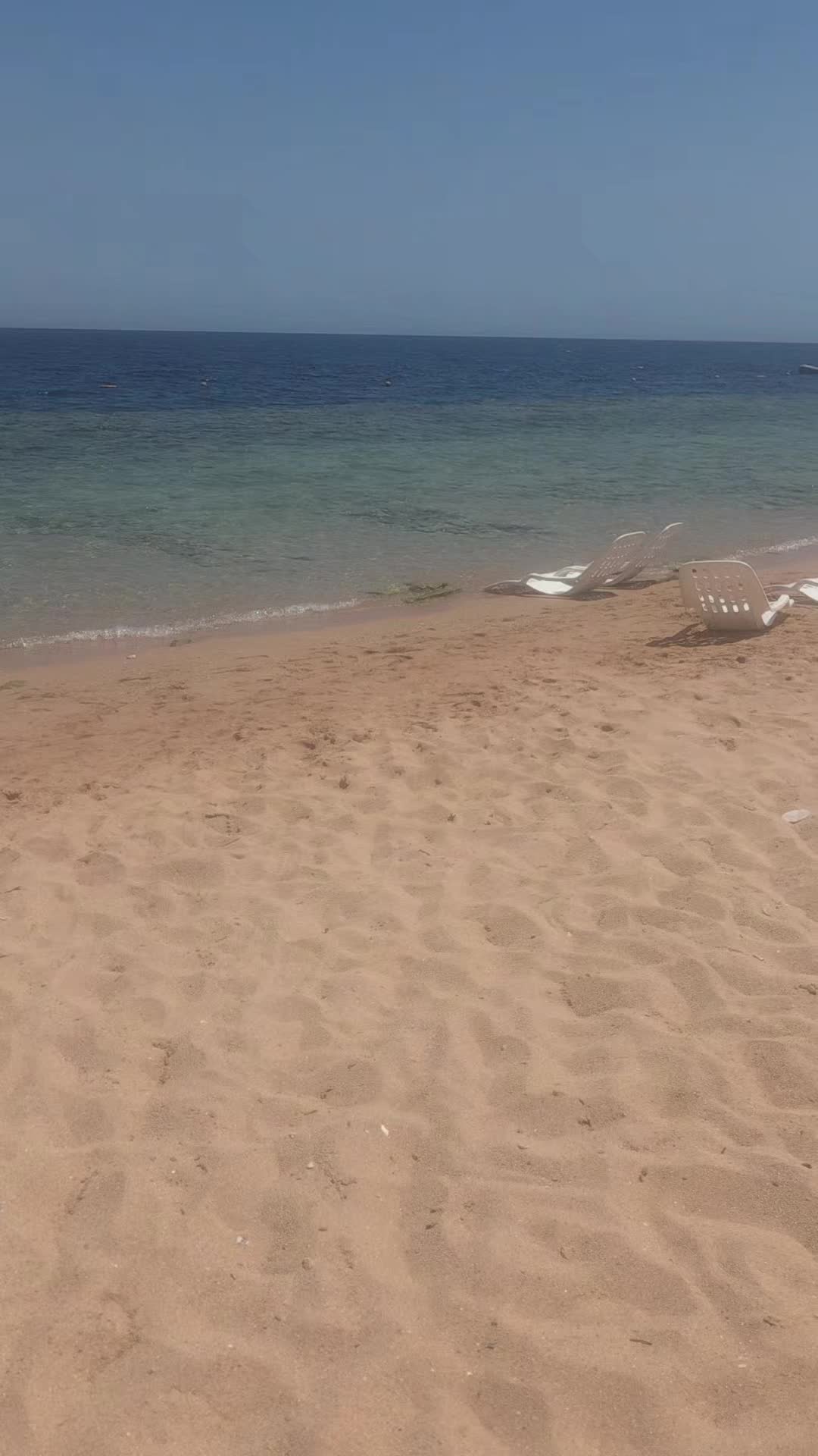@𝑺𝒐𝒇𝒉𝒊𝒂