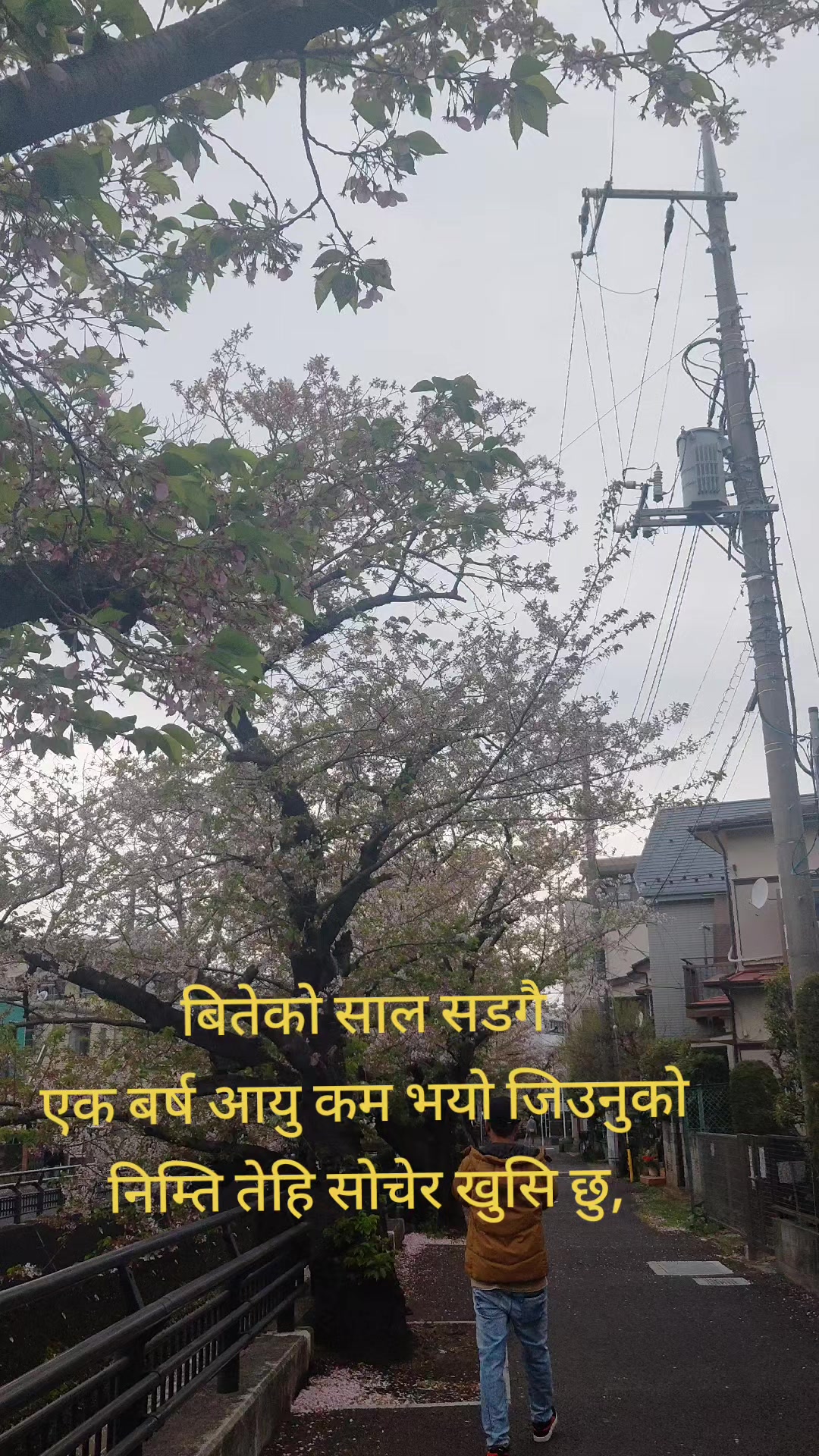 @kamal bohara