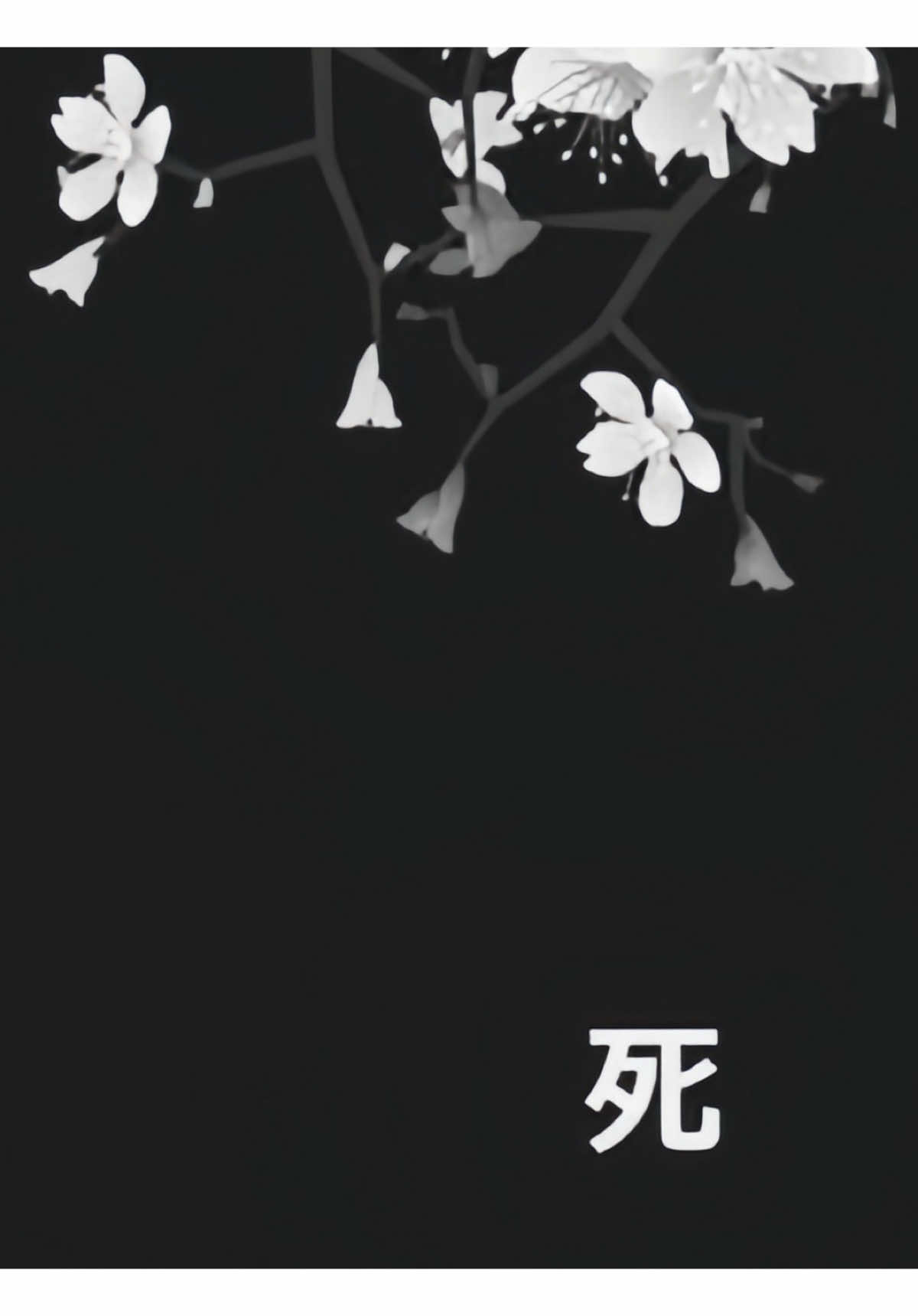 @๐ ๐ ๐
๐