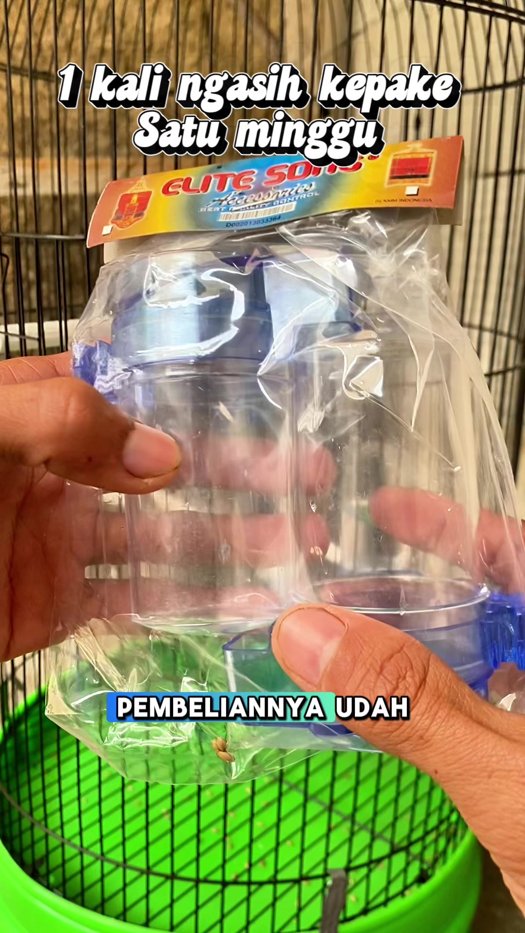 @kicau mart