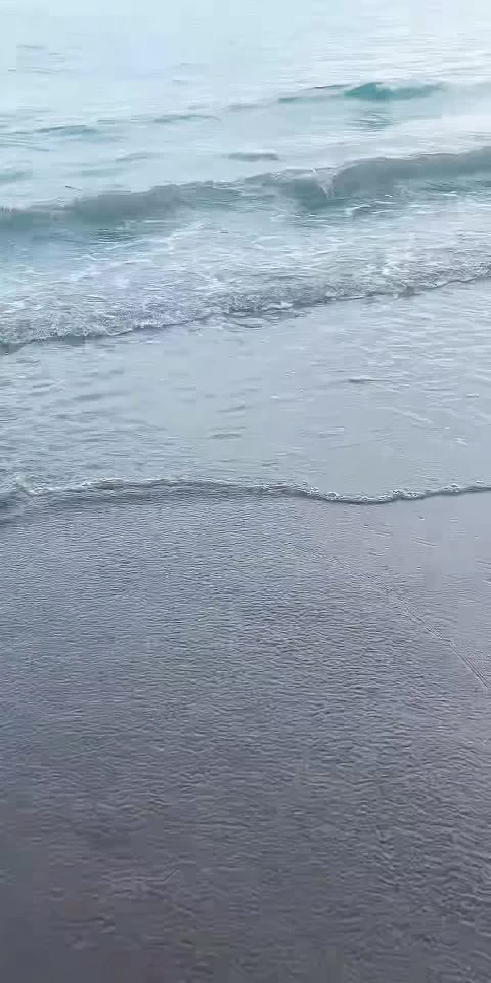 @Chinopoblano23🇲🇽