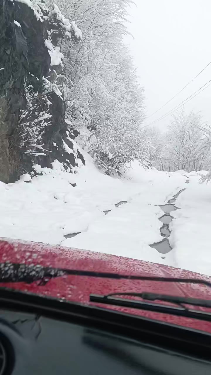 @Ruzi Mirzeyev