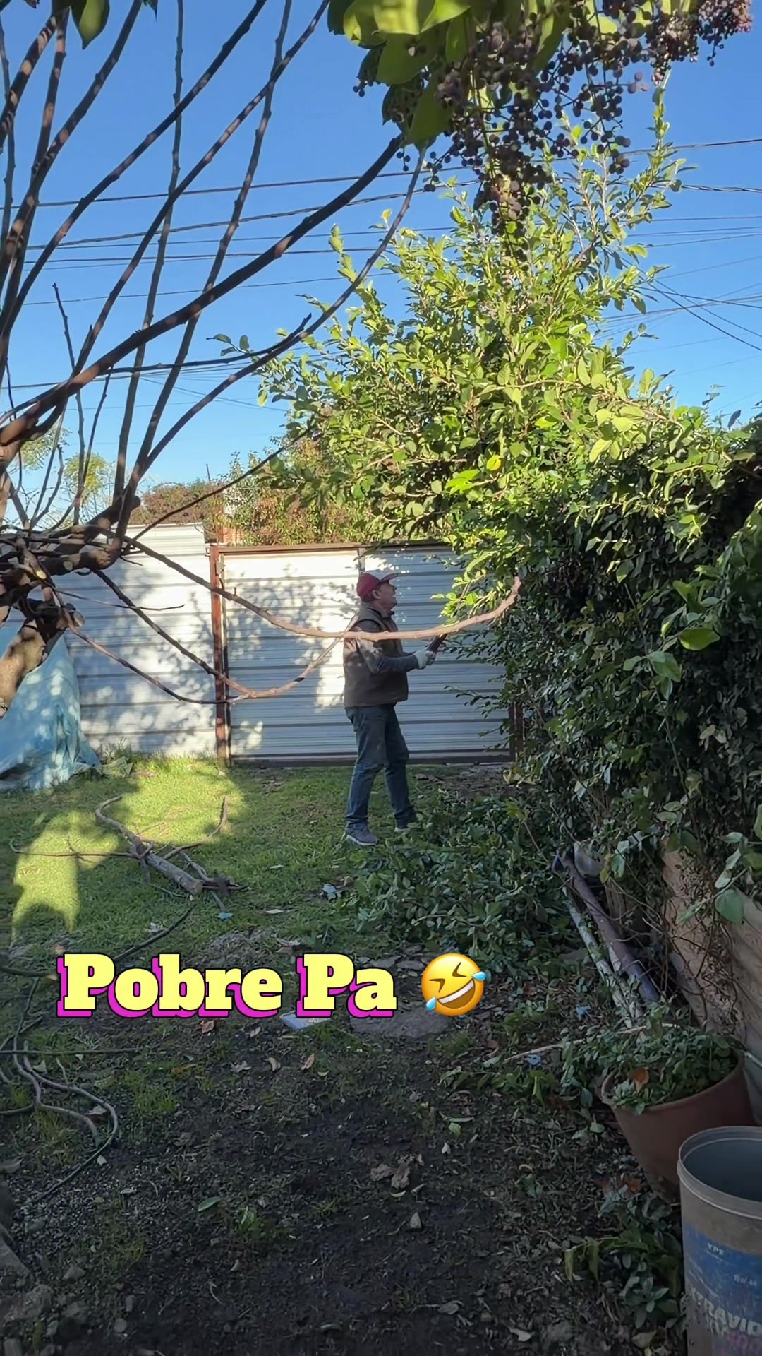 @vale roldan