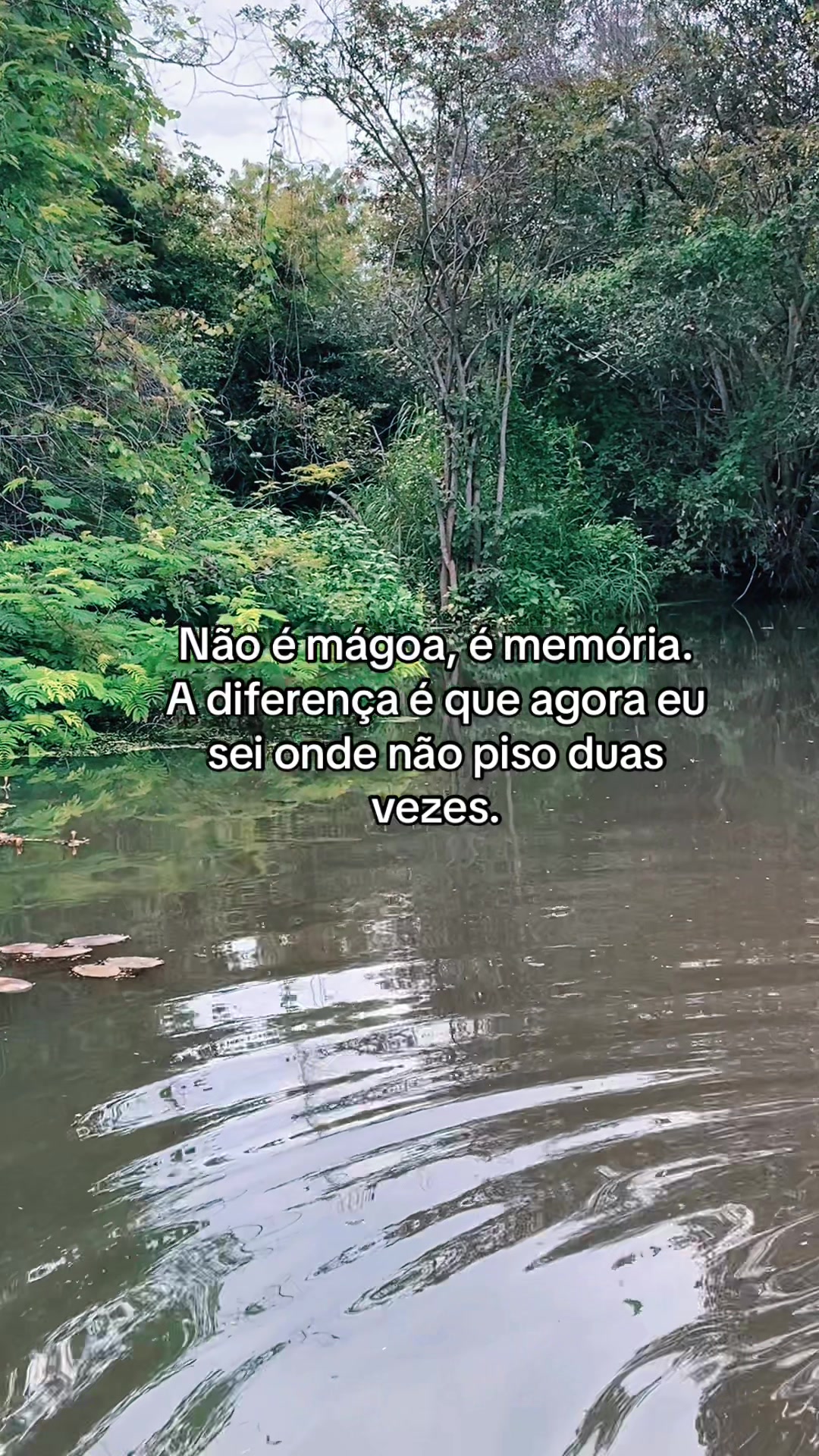 @sentimentoo