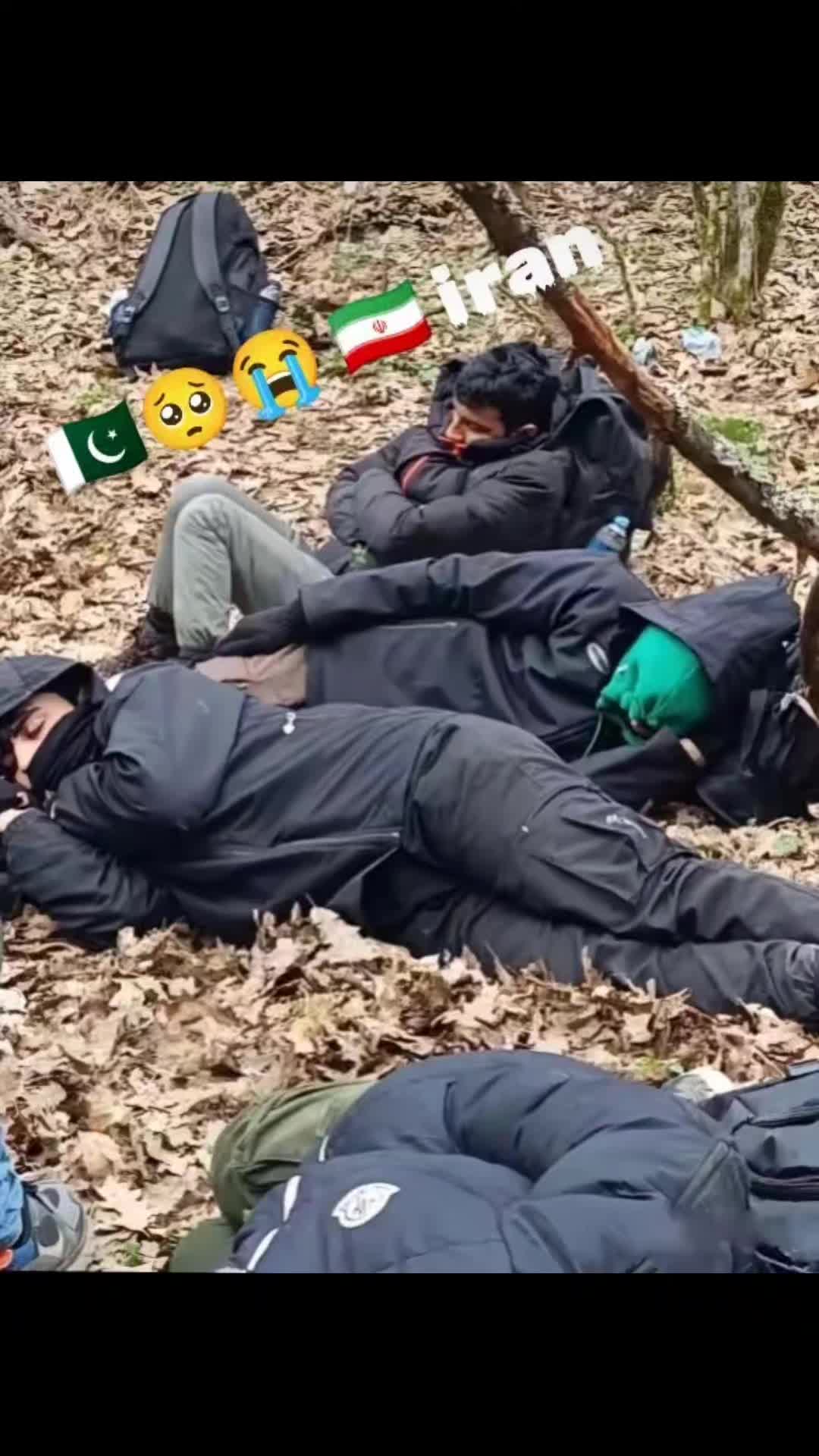 @drferoozshah