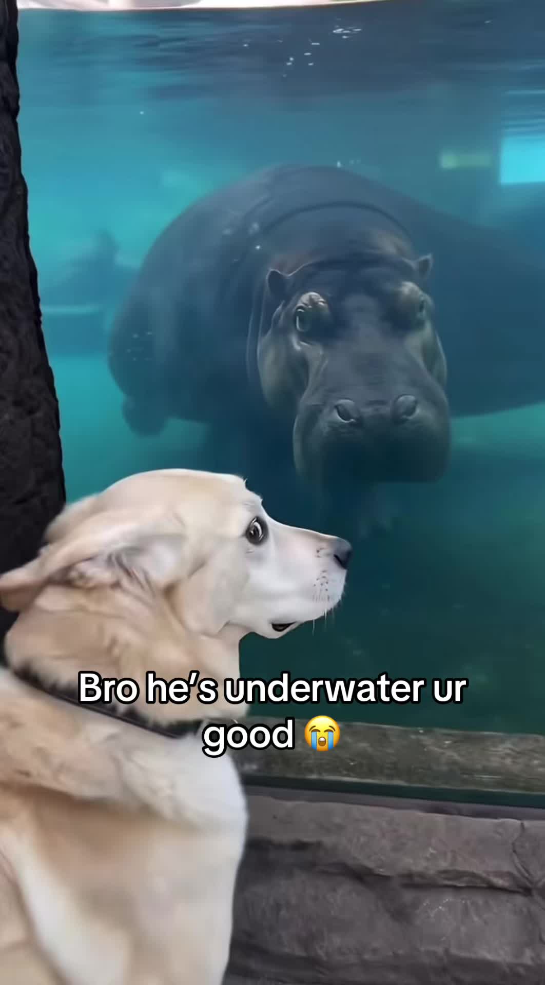 @Tim