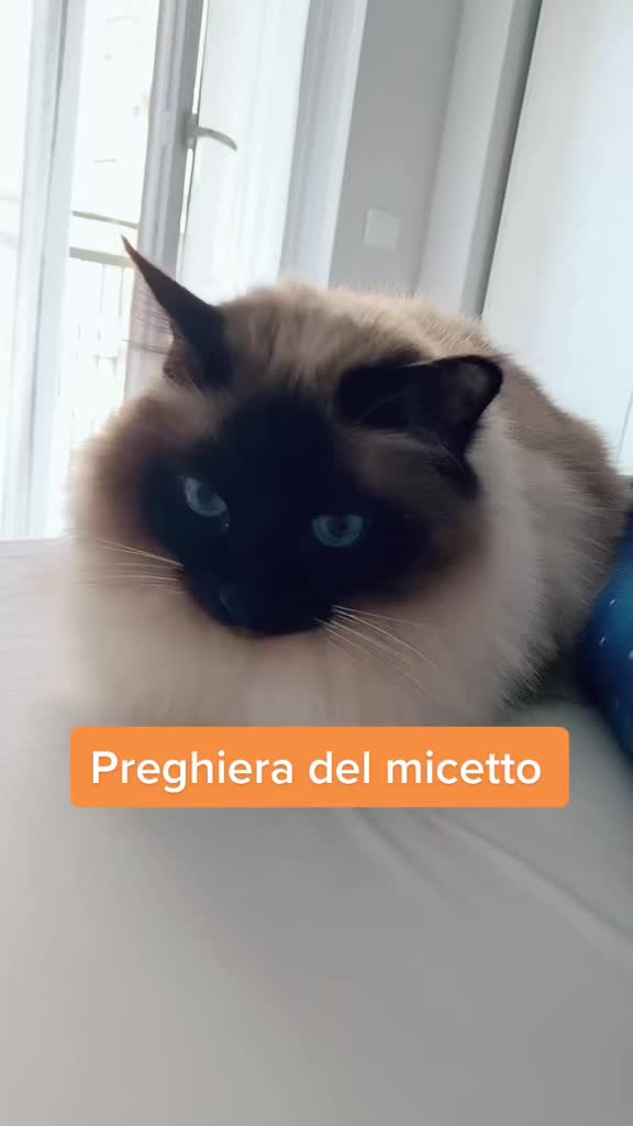@Cristina Tarantino