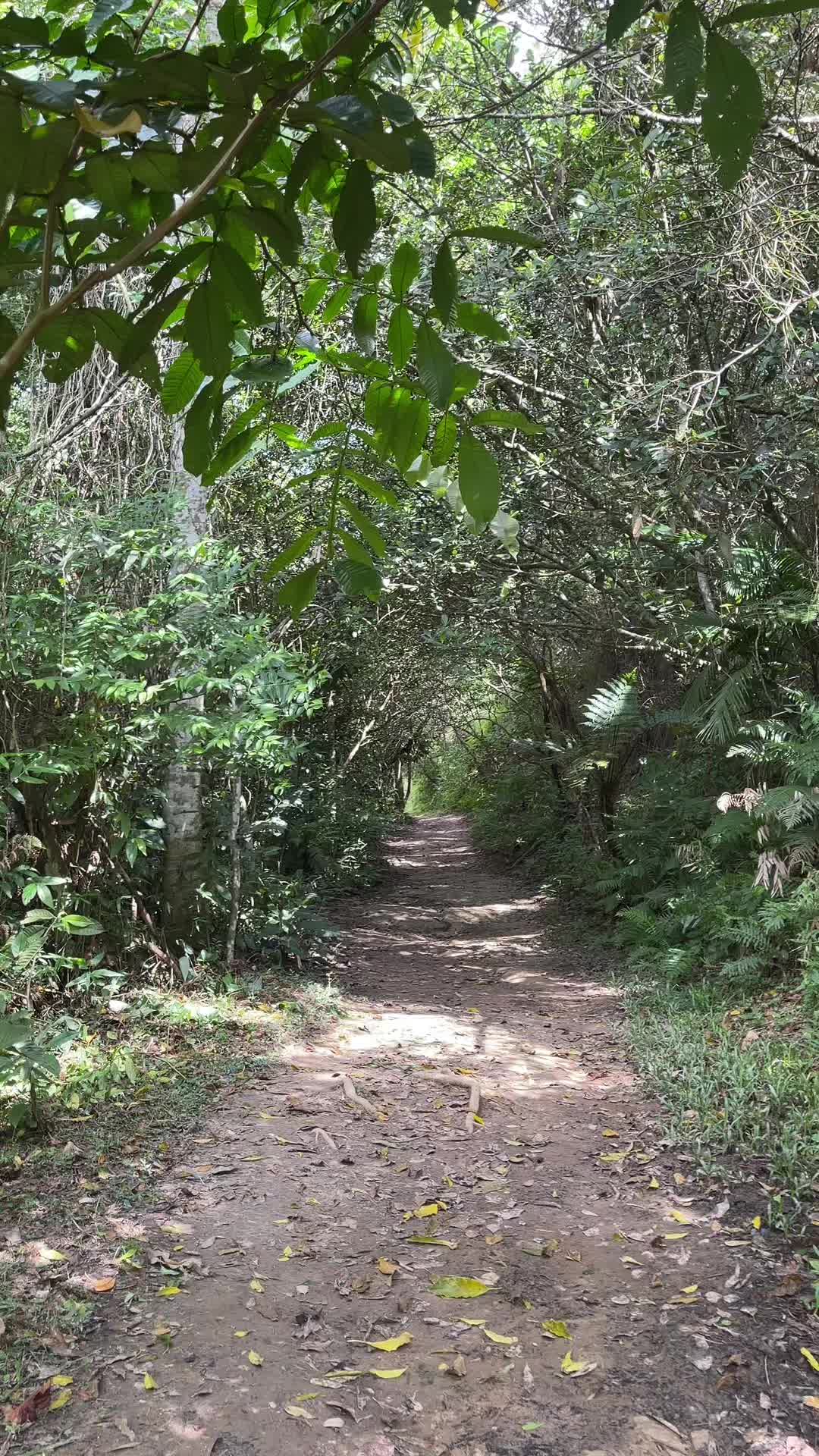 @Quelinha