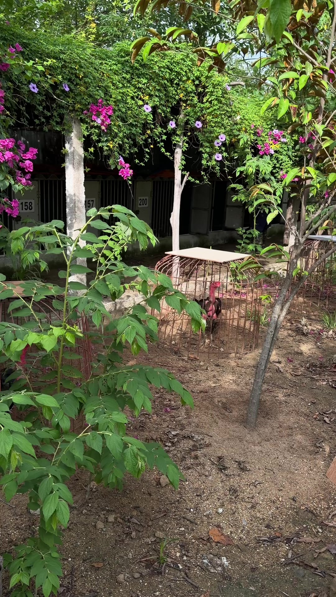 @Quốc kh&aacute;nh