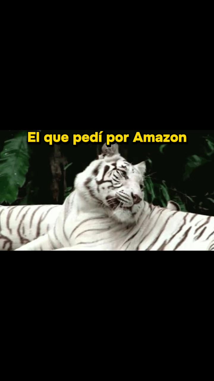 @Maryuris Moreno