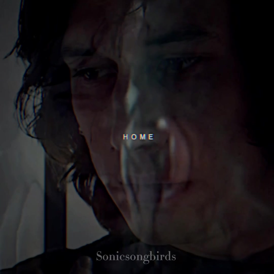 @sonicsongbirds