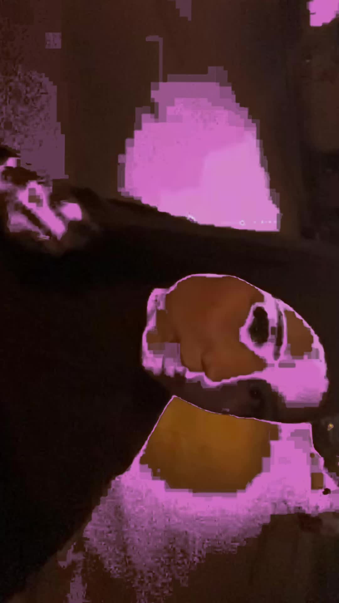 @𝑬𝒔𝒊𝒍𝒂