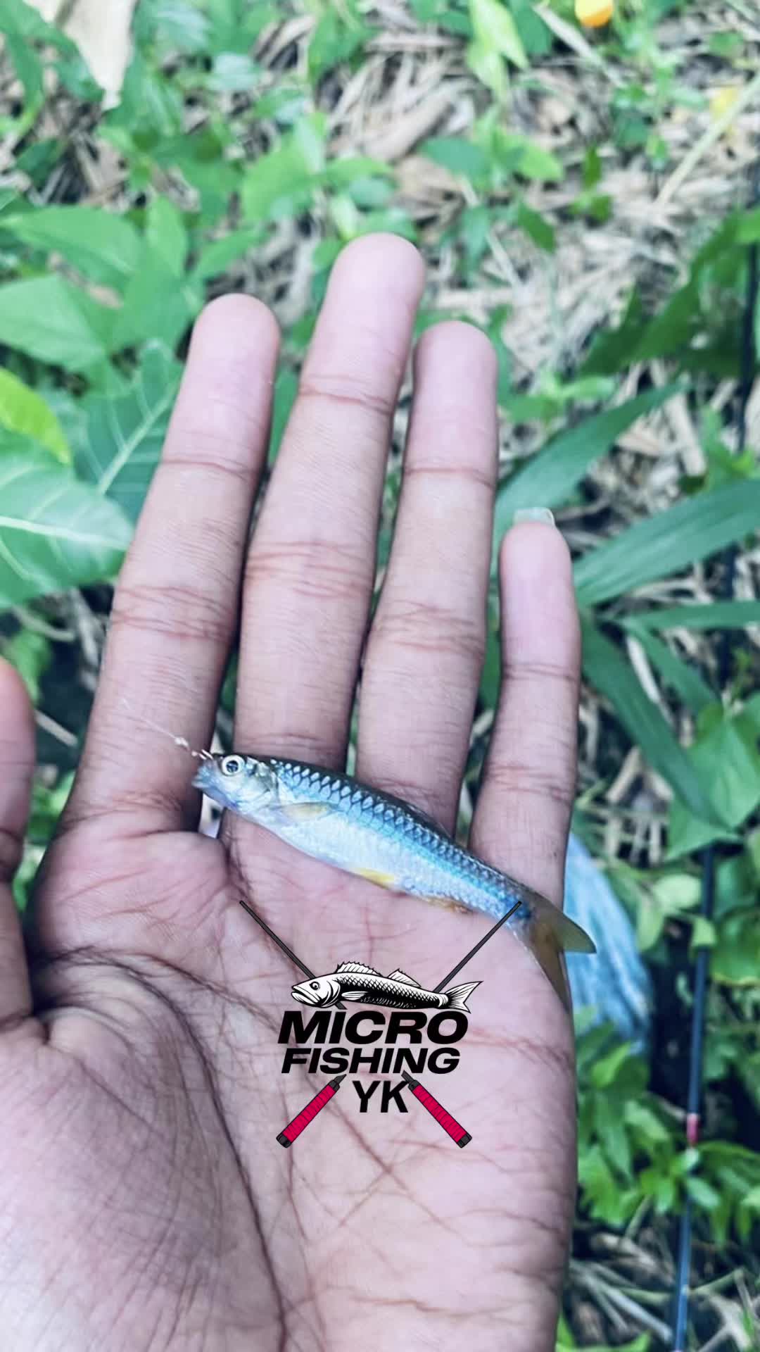 @ULTRA MICROFISHING