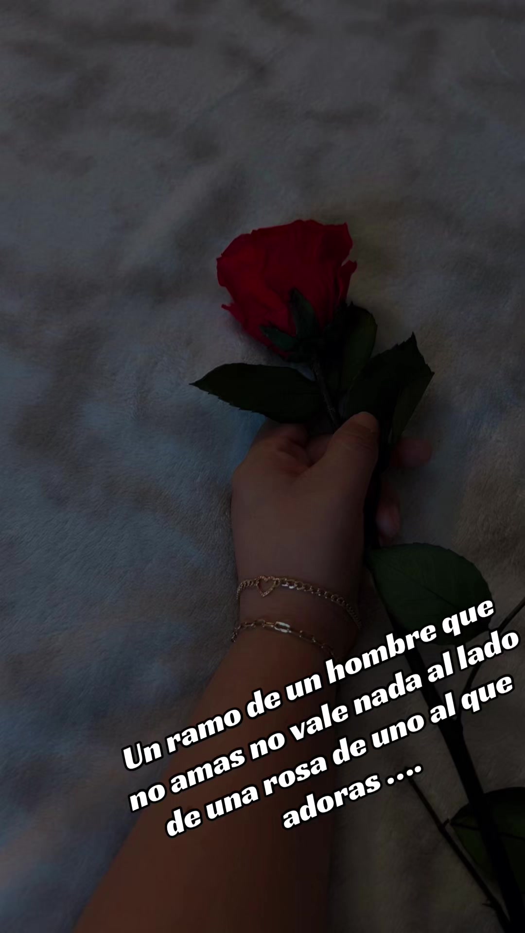 @🦋Bbcita🌻🇺🇸🌙