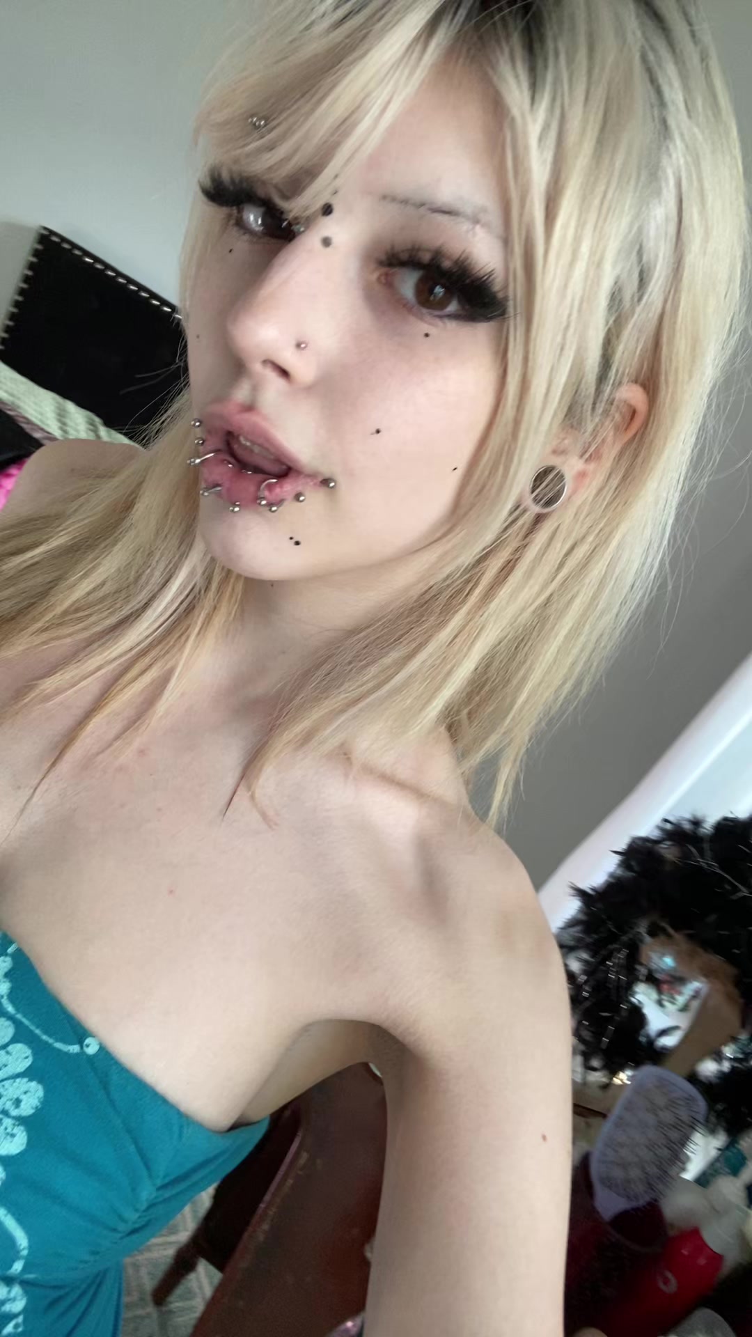 @🐾