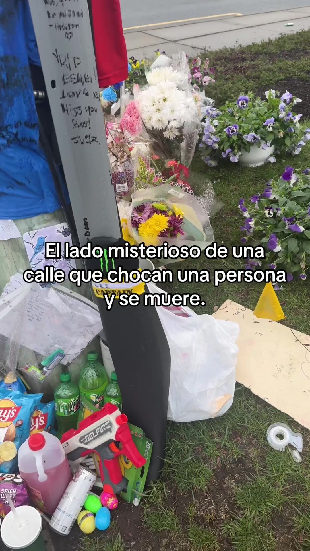 @Lore ᥫ᭡
