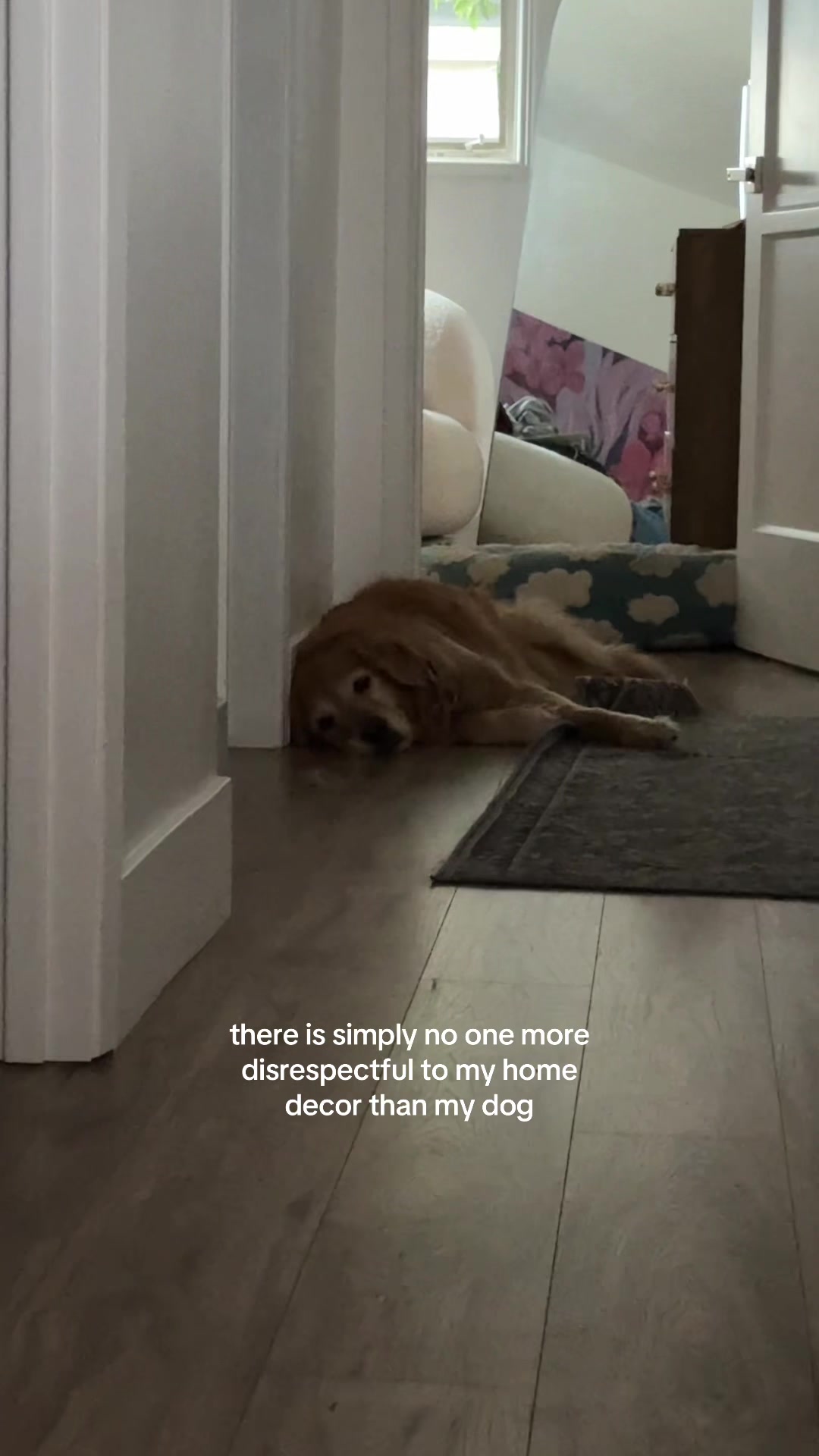 @ANGIE LIU