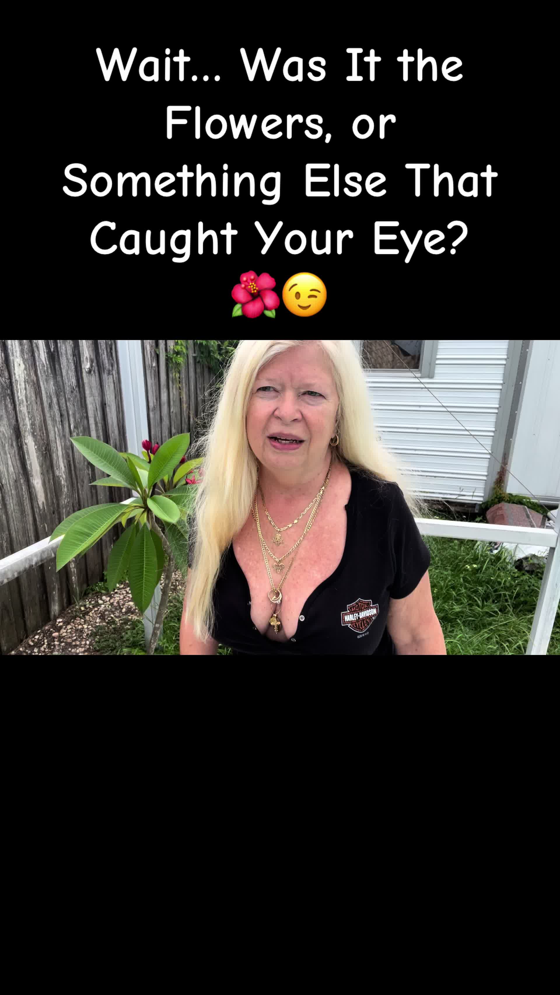 @Daydreaming With Debbie