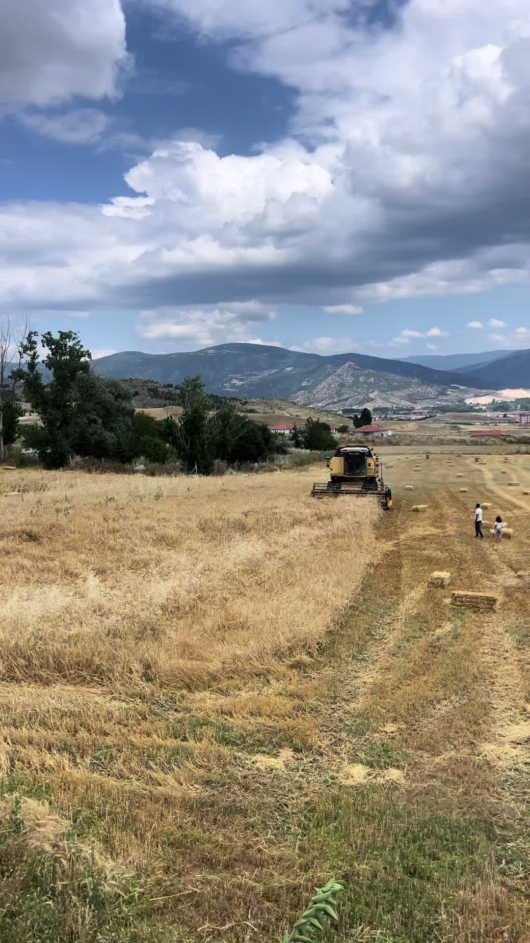 @H&uuml;seyin Kovanoğlu
