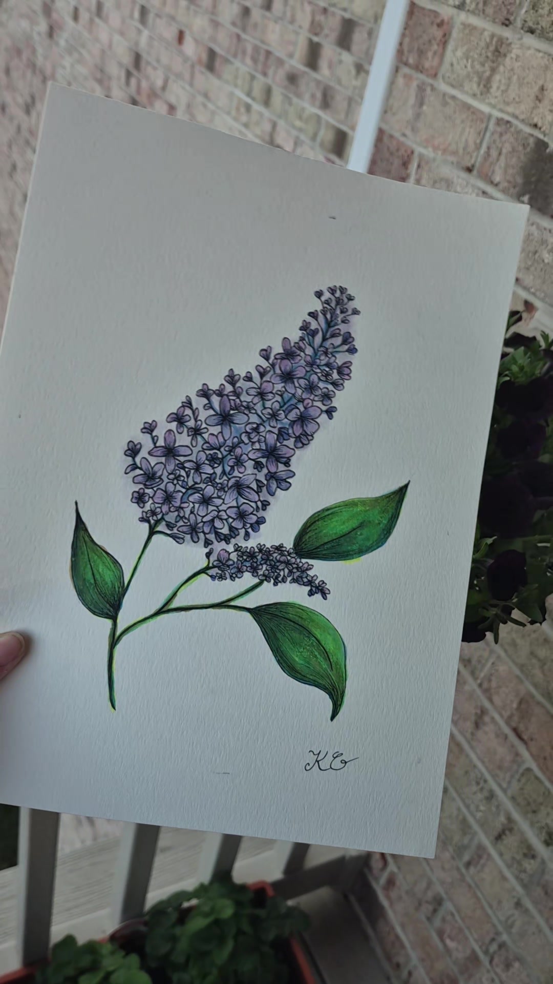 @Organic Illustrations
