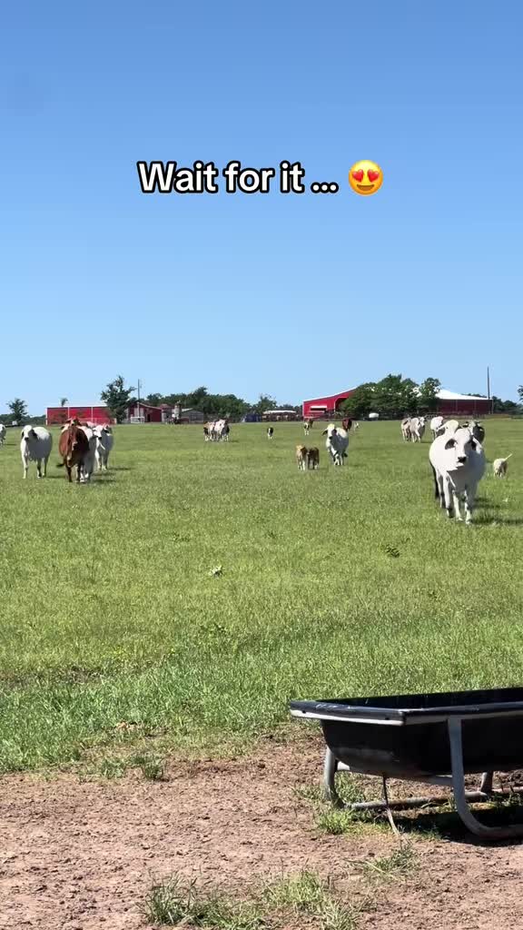 @The V6 Ranch