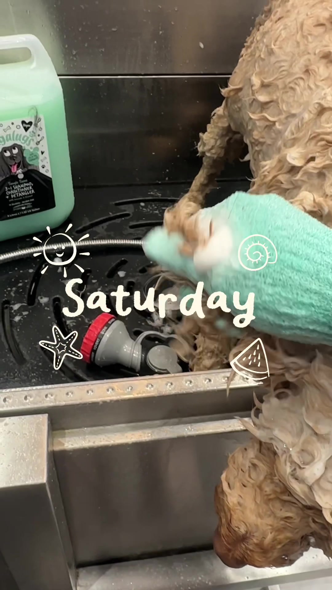 @DevenickDogs