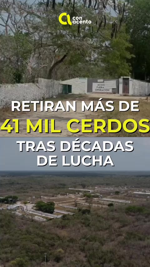 @Con Acento