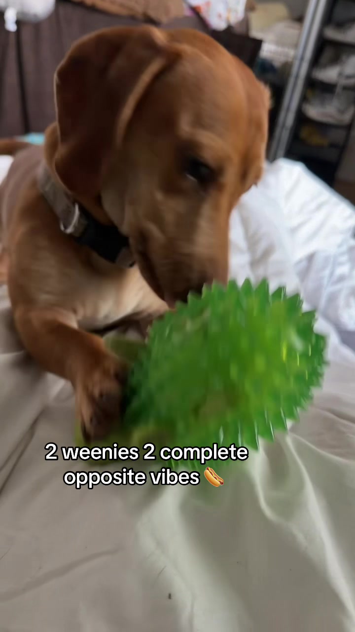 @rensjourney