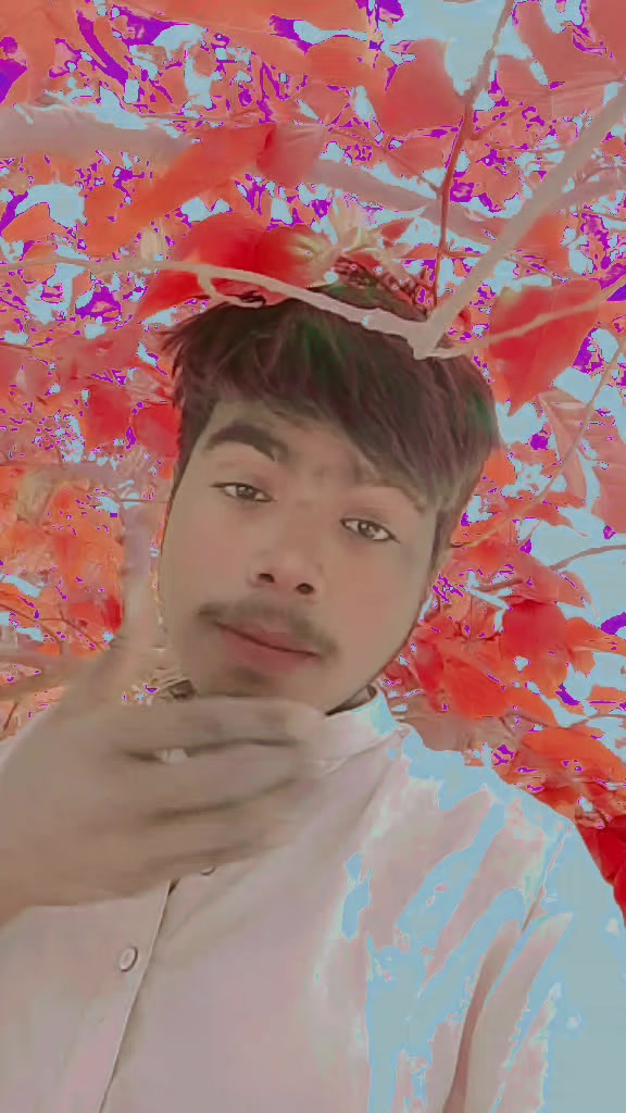 @5221Imran Riaz
