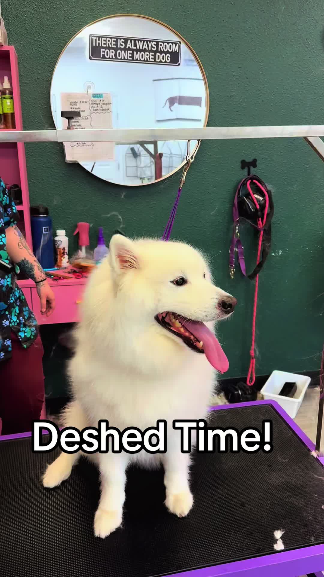 @The_BeautyBark